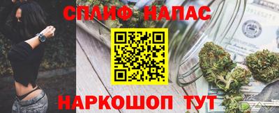 сатива Новозыбков