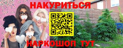 сатива Новозыбков