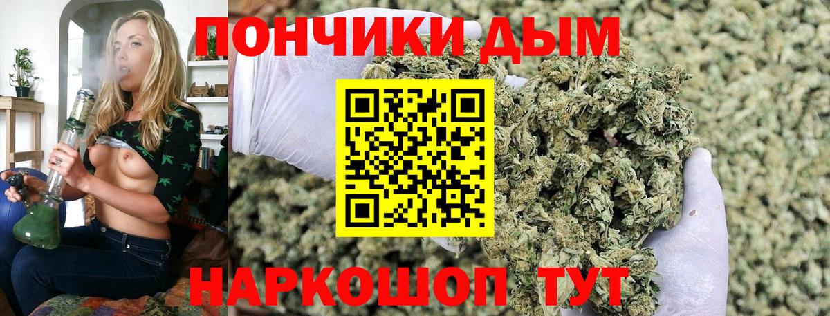Каннабис конопля  Бошки марихуана индика  Вход с VPN  Каннабис Bruce Banner  Шуя 